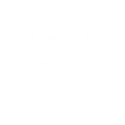 AA Insurance: Home